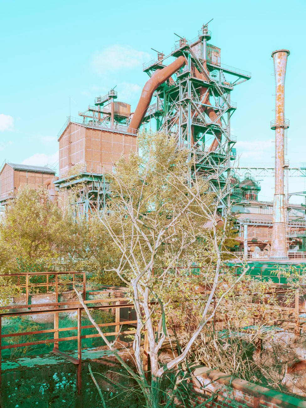 INDUSTRIAL JUNGLE - 004