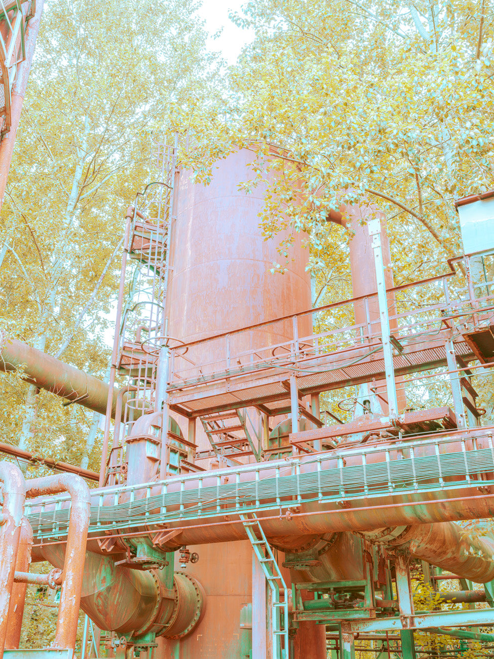 INDUSTRIAL JUNGLE - 006