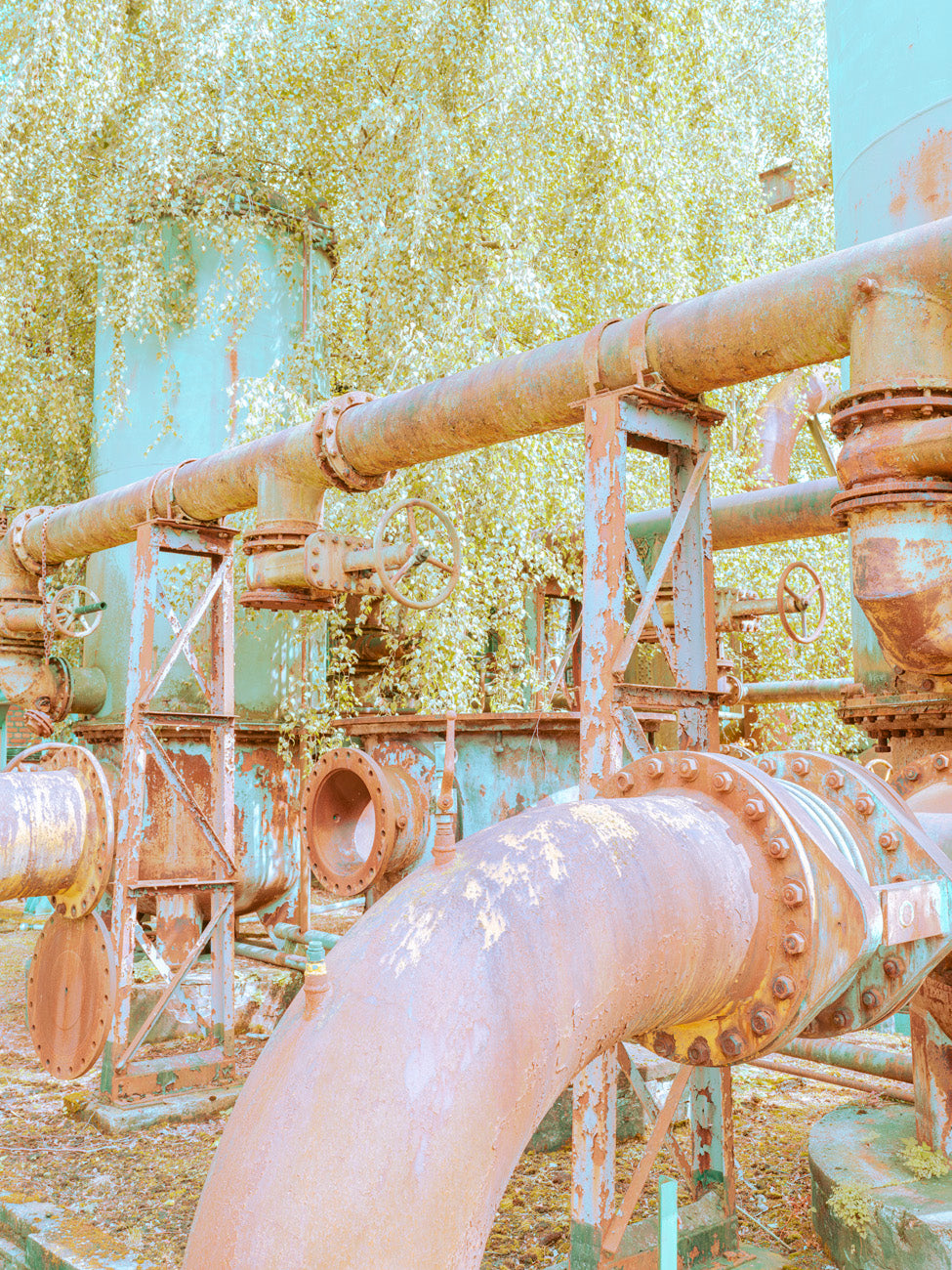 INDUSTRIAL JUNGLE - 007