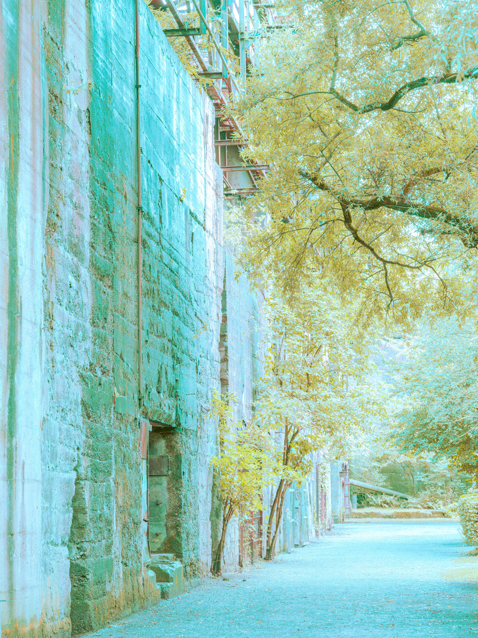 INDUSTRIAL JUNGLE - 009