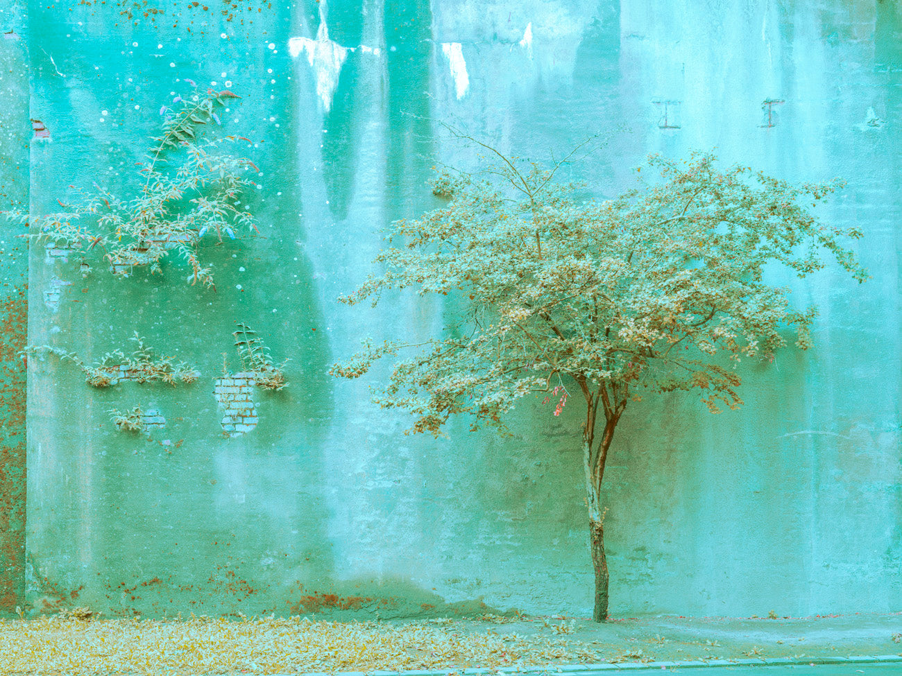 INDUSTRIAL JUNGLE - 011