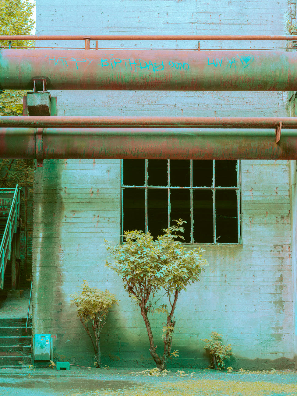 INDUSTRIAL JUNGLE - 012