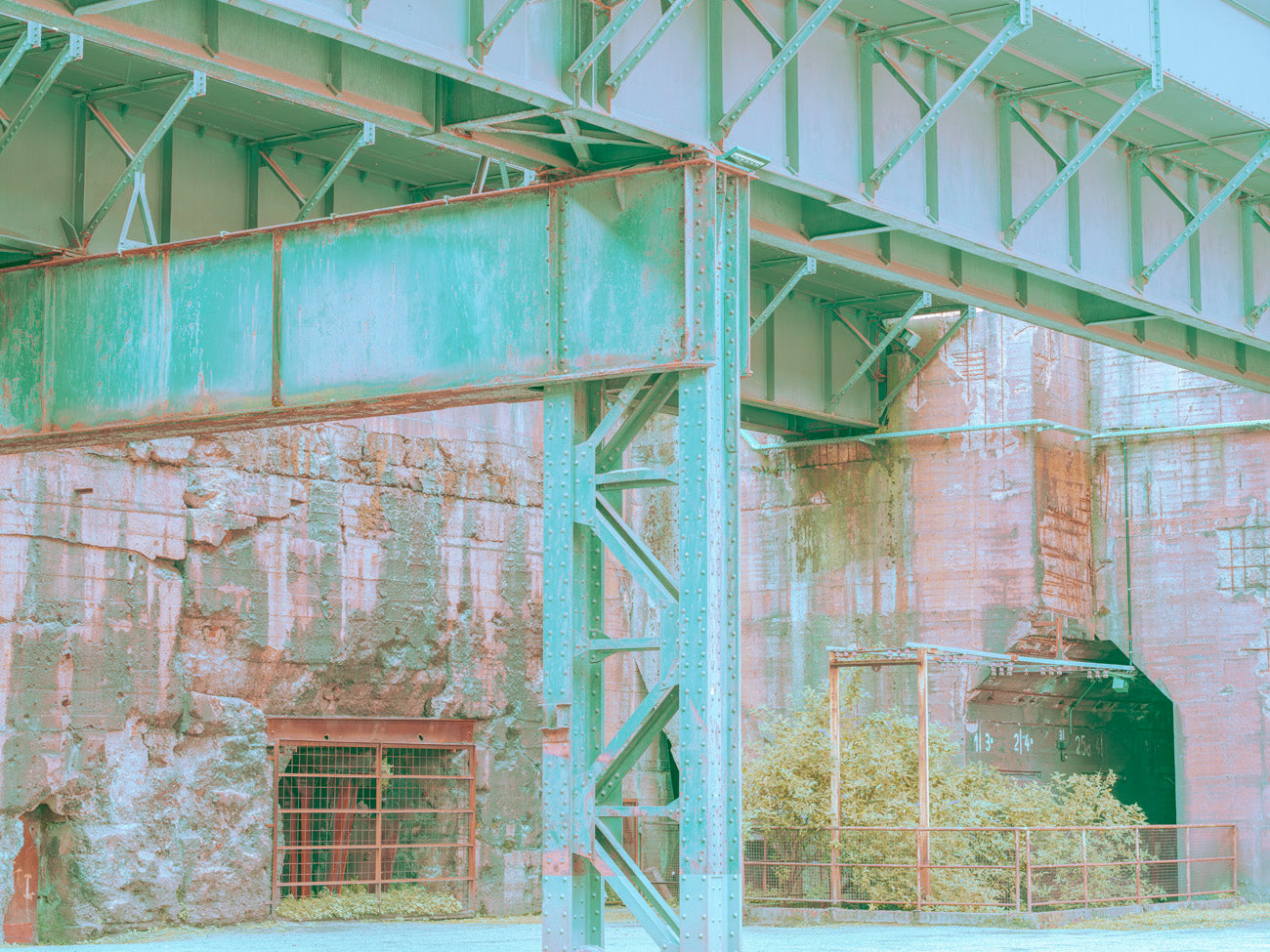 INDUSTRIAL JUNGLE - 020