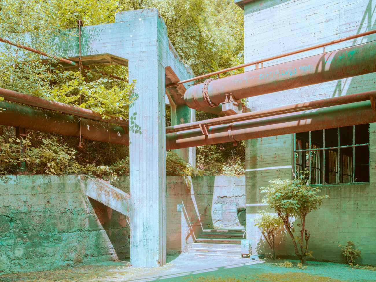 INDUSTRIAL JUNGLE - 021