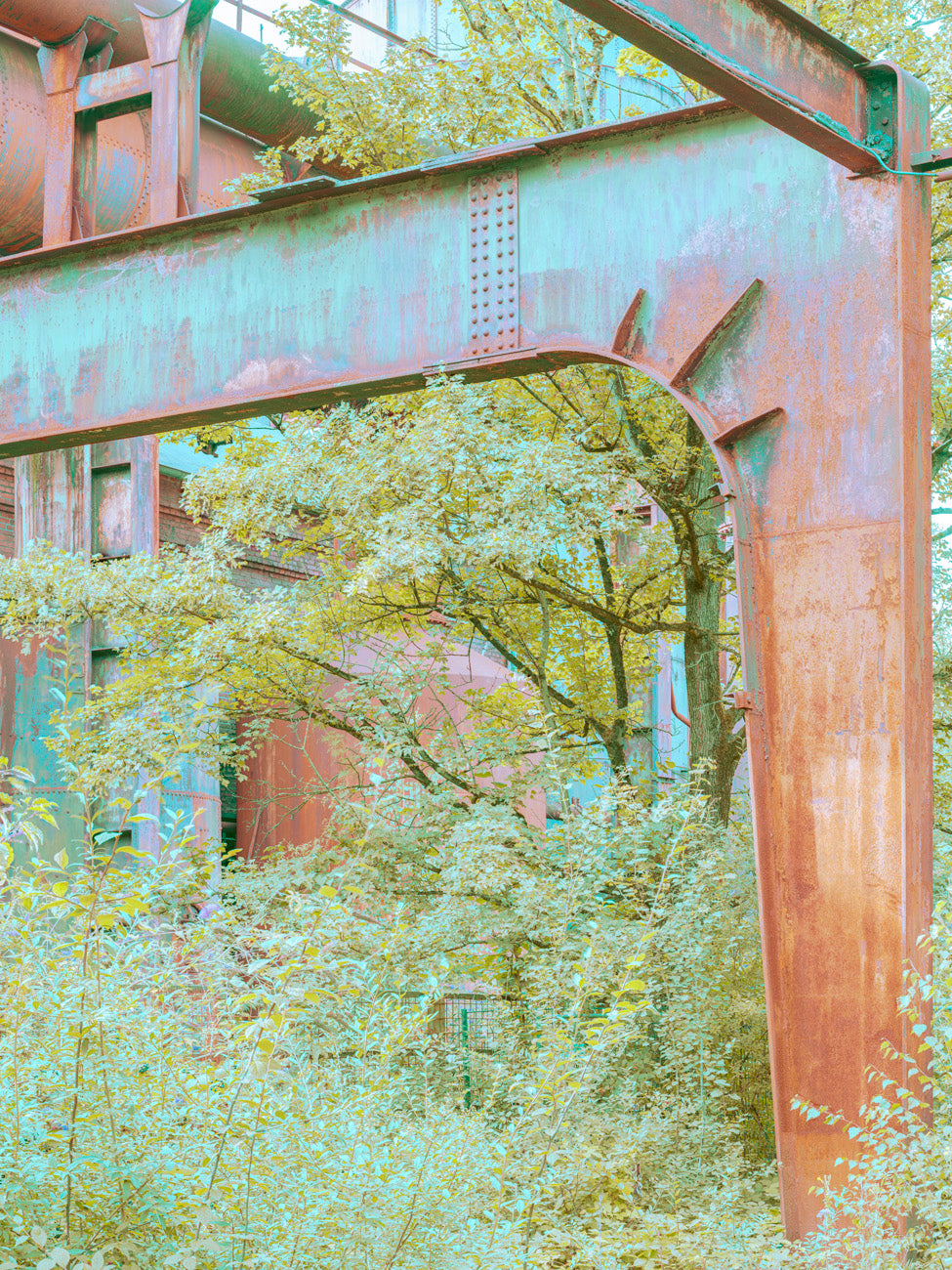 INDUSTRIAL JUNGLE - 023