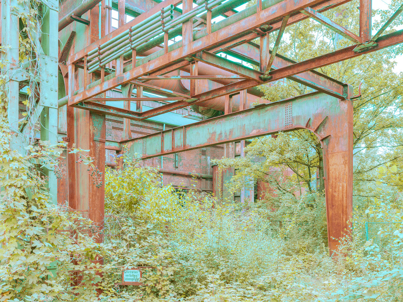 INDUSTRIAL JUNGLE - 024