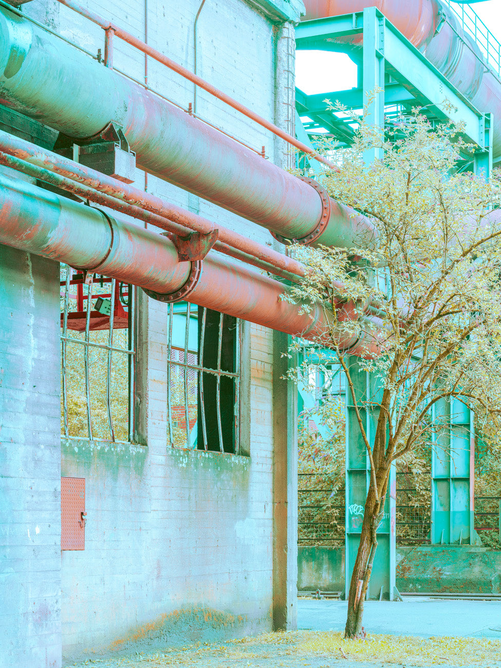 INDUSTRIAL JUNGLE - 025