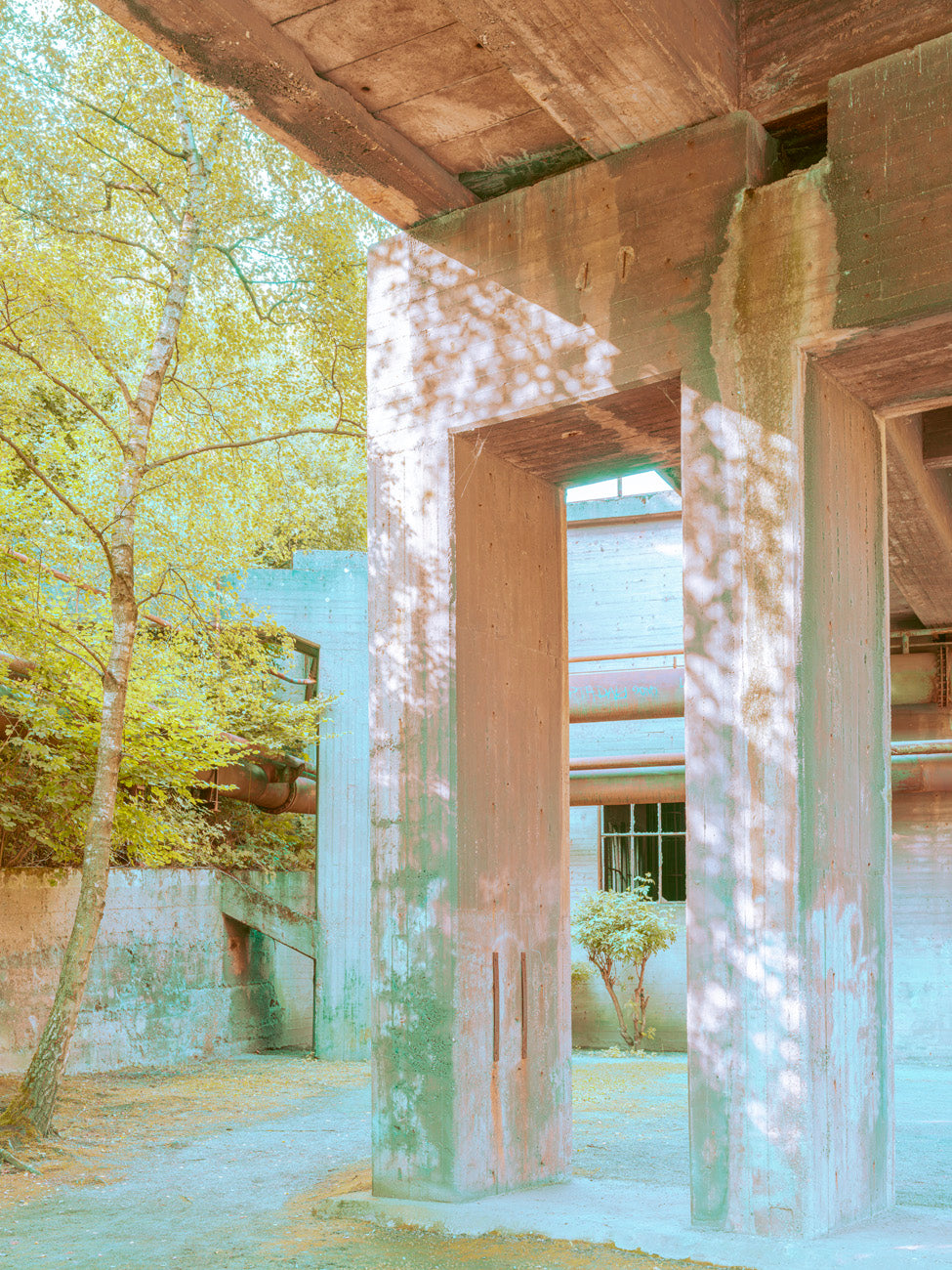 INDUSTRIAL JUNGLE - 026