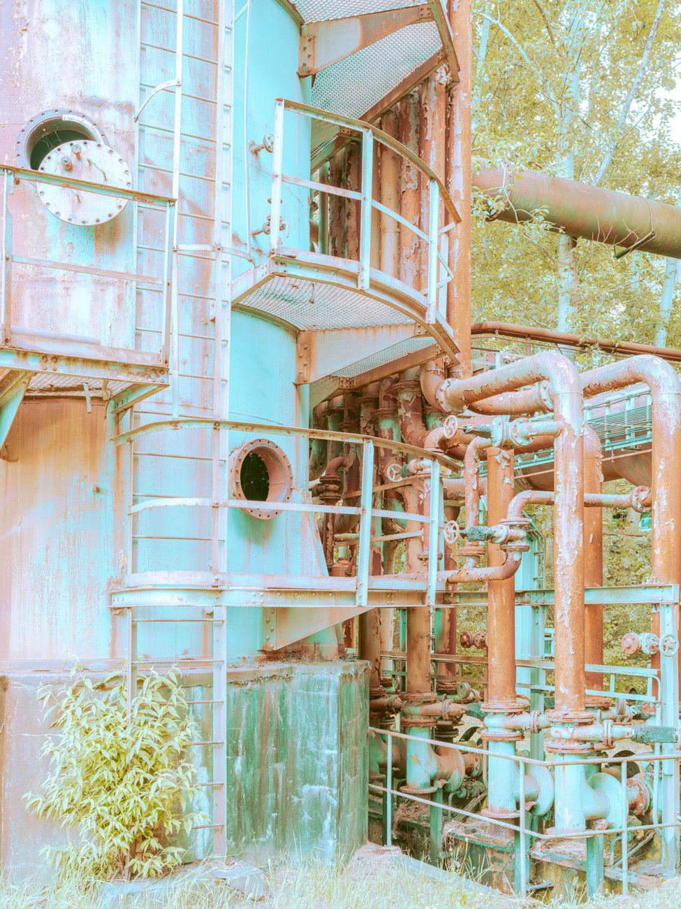 INDUSTRIAL JUNGLE - 028