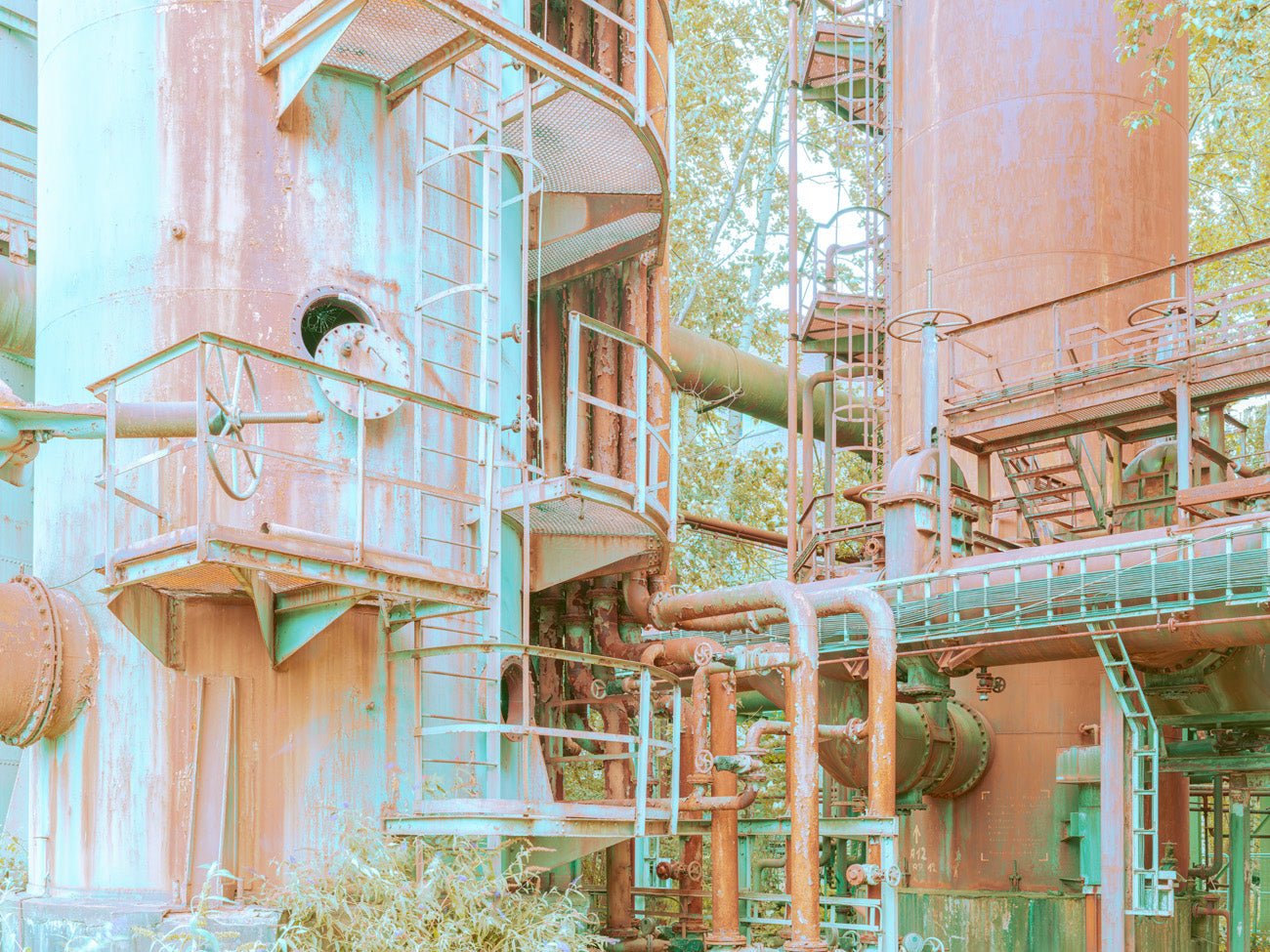 INDUSTRIAL JUNGLE - 029